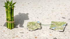 Il panda gigante non è più “in pericolo”: cosa significa davvero lo status IUCN “vulnerabile”