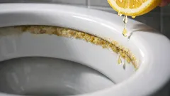 Calcare nel WC: il trucco del limone per scioglierlo senza odori chimici