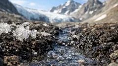 Permafrost che si scioglie: i microbi che possono accelerare il riscaldamento globale