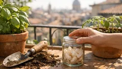 Non buttare le bucce d’aglio: 4 modi facili per rinforzare vasi e orto