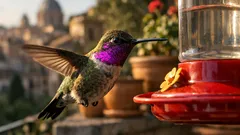 Come una mangiatoia può cambiare l’evoluzione del colibrì di Anna