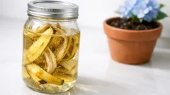 Concime fai da te con bucce di banana e aceto: guida pratica per usarlo senza errori